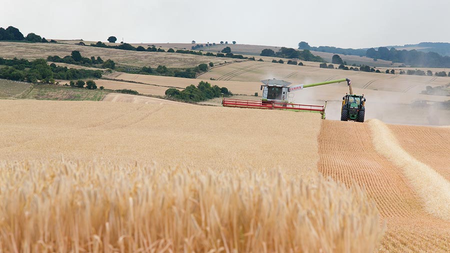 Lavington Farms © Lucy Chapman