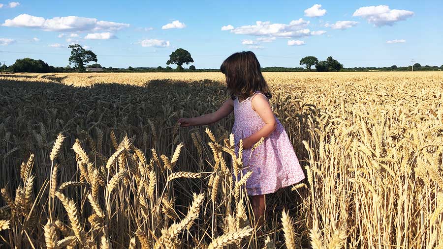 Will Sargent's daughter checking wheat