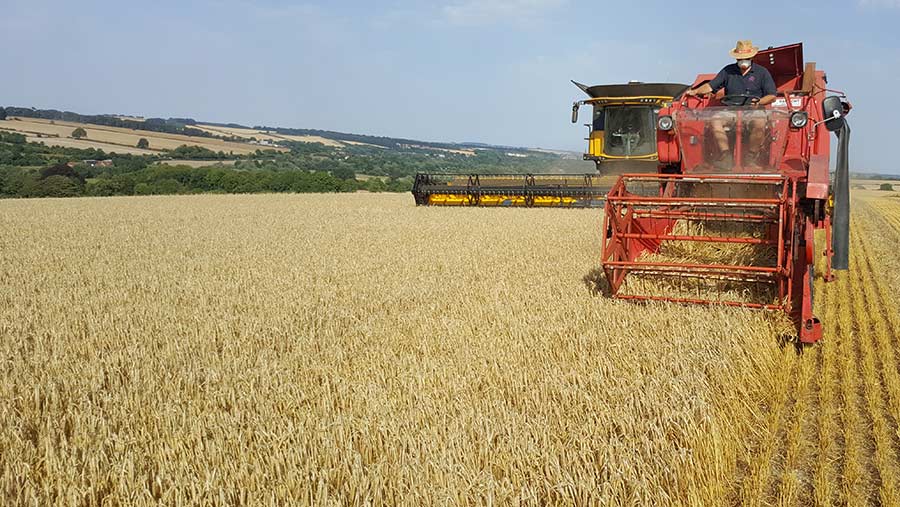 Harvest photo