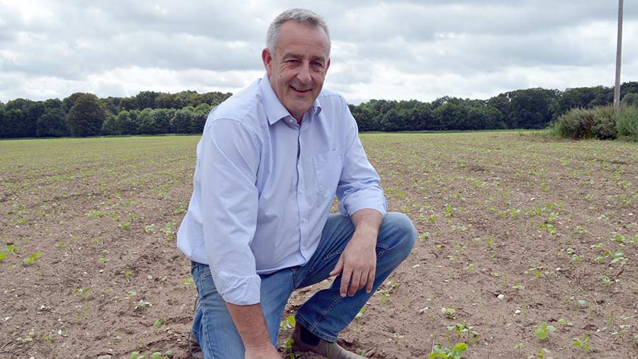 Richard Cobbald in a field of cover crops