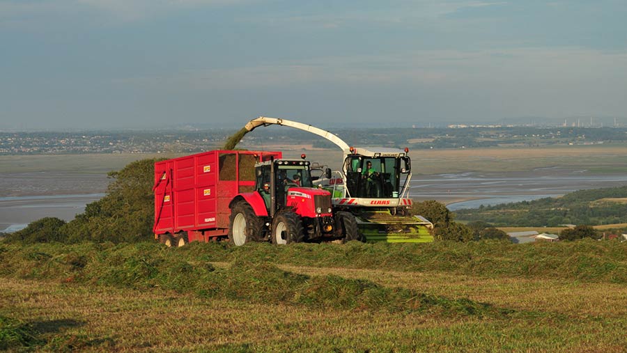 Harvest photo