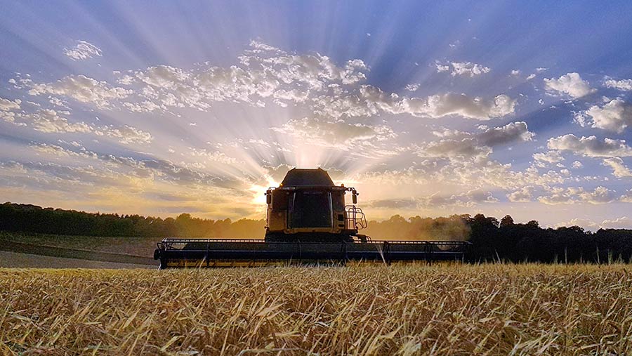 Harvest photo