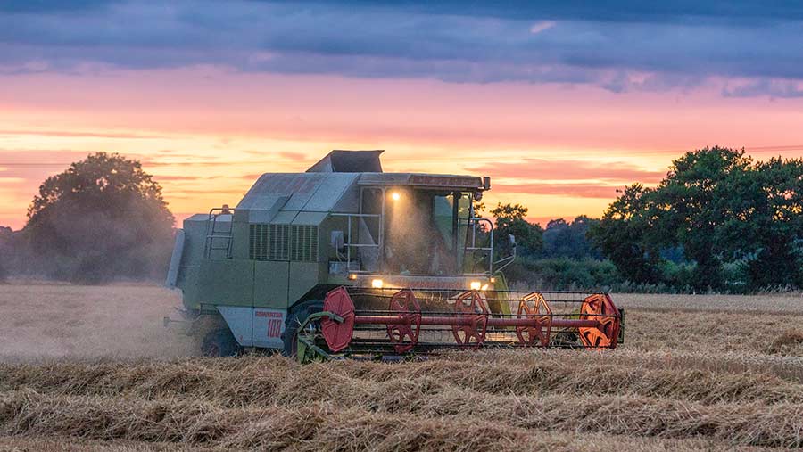 Harvest photo