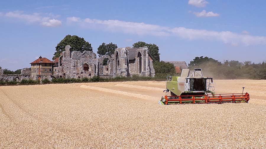 Harvest photo