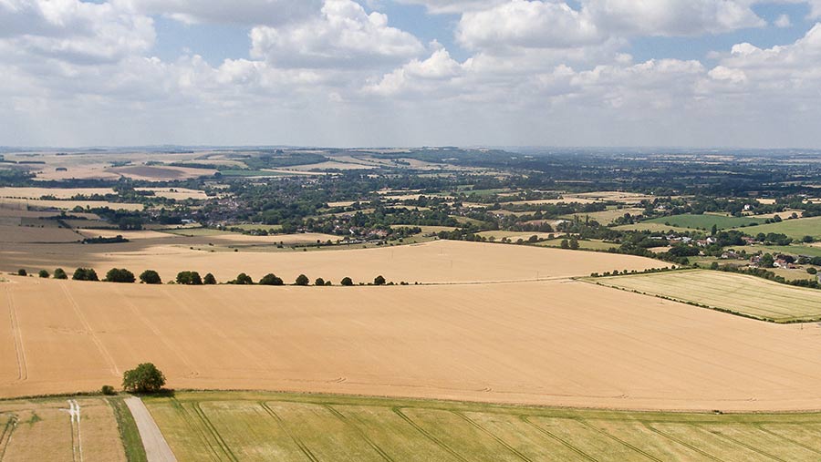 Lavington Farms © Jonathan Stone