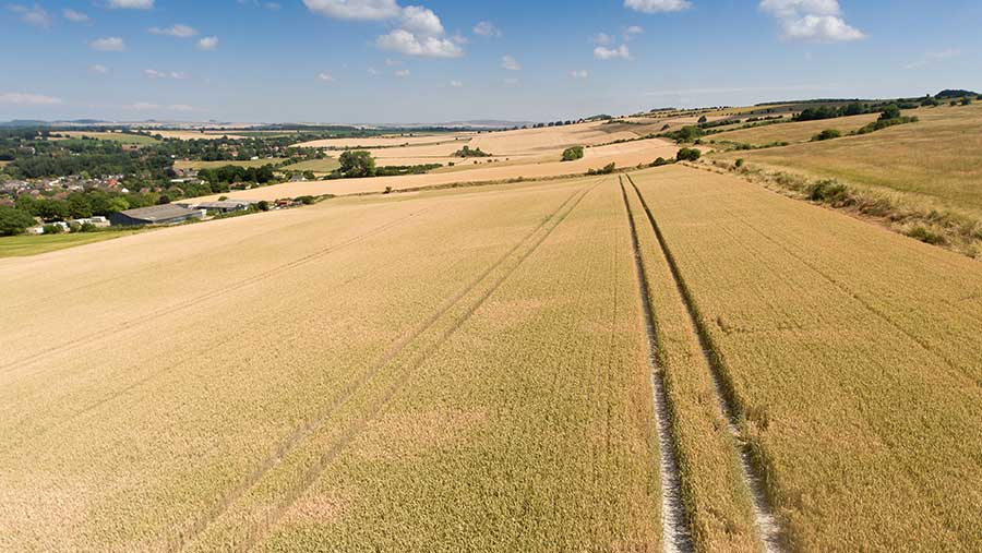 Lavington Farms © Jonathan Stone