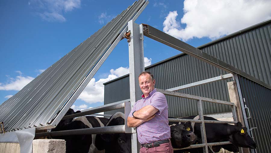 Paddy Murphy stands outside his roofless shed