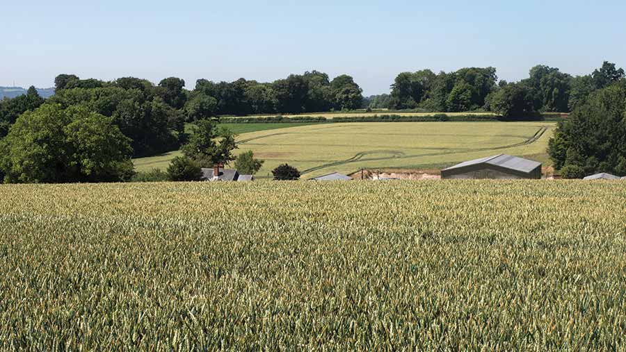 Craig Livingstone's Queenwood farm in Hampshire