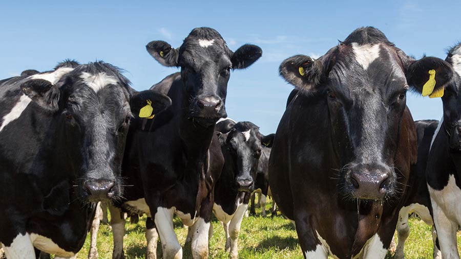 Drought Has Disguised Global Dairy Demand Drop - Farmers Weekly