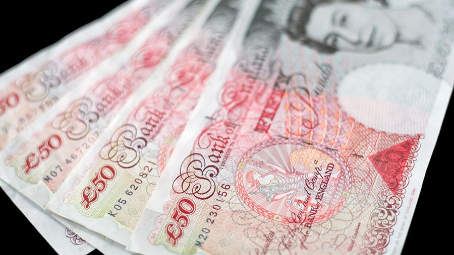© James Cook/Rex/Shutterstock