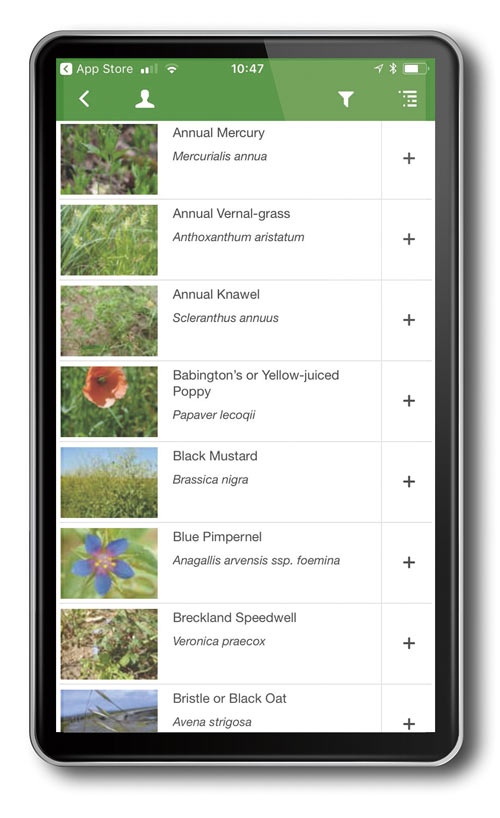 Wild Flowers app