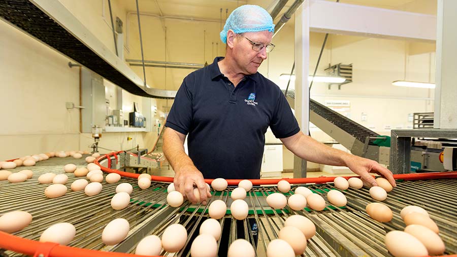 Derek McKeown processing eggs