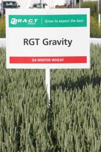 RGT Gravity