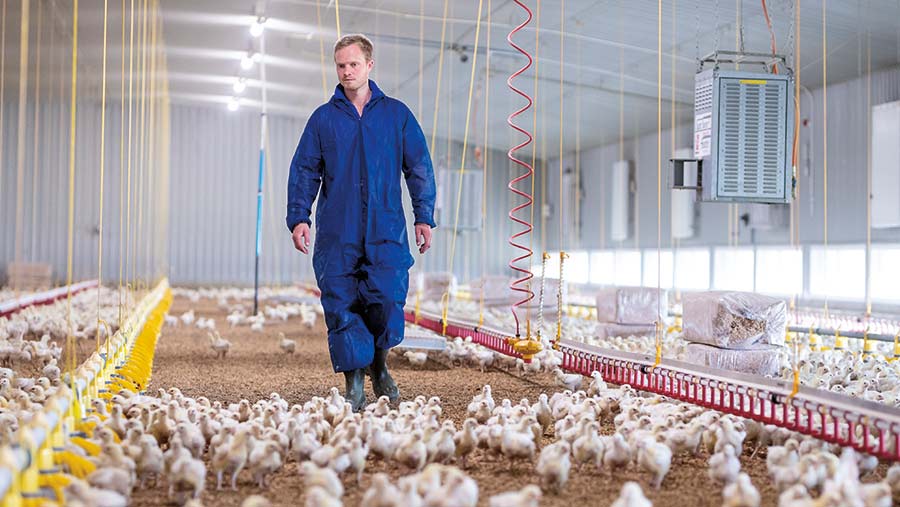 Glen Powell walking in the chicken shed