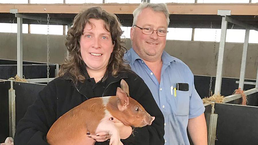 Claire and David Saxby with one of their pigs