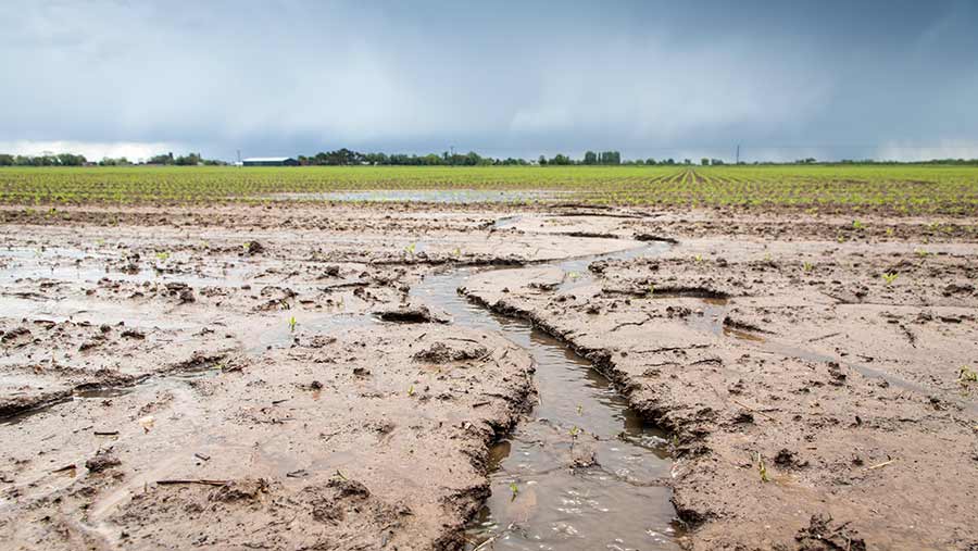 Advice On Reducing Soil Erosion In Arable Fields Farmers Weekly