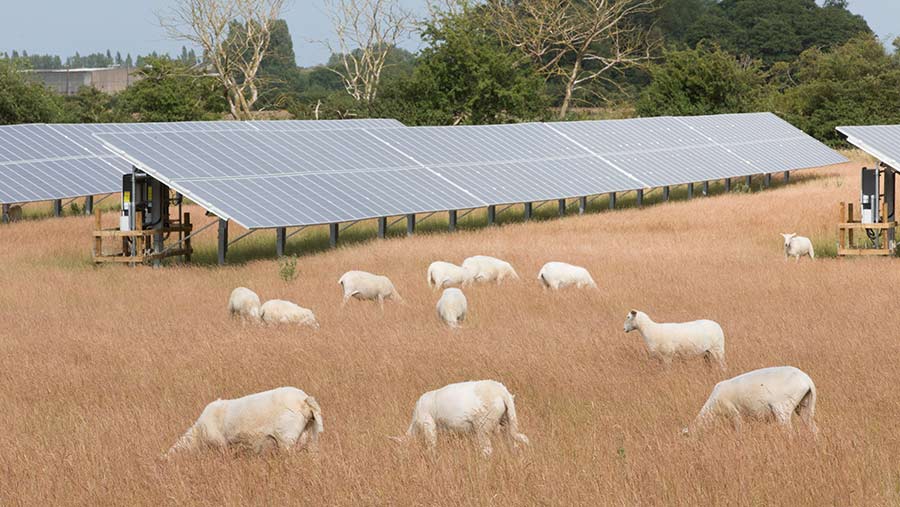 The battery grants could be of interest to farms with solar or wind power © Tim Scrivener