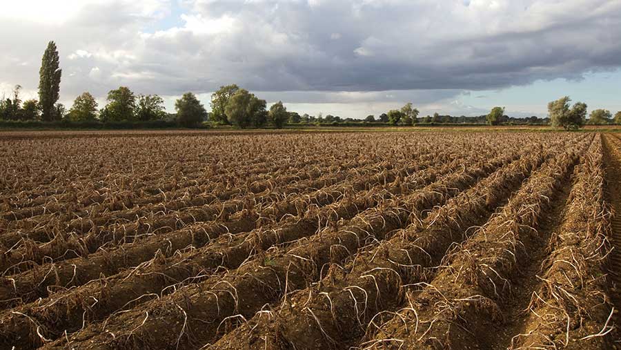 Major Potato Desiccant Diquat Set To Be Banned Farmers Weekly