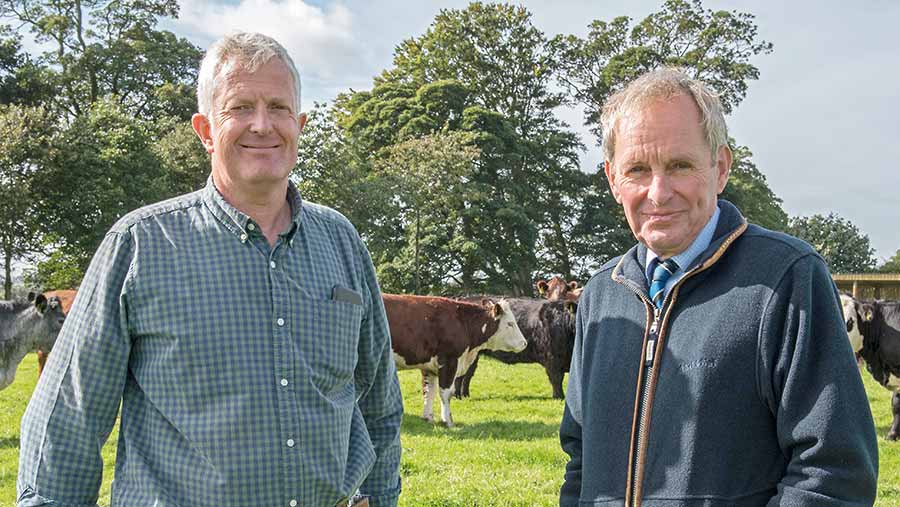 How a salt marsh helped save 1,862ha Cumbrian estate - Farmers Weekly