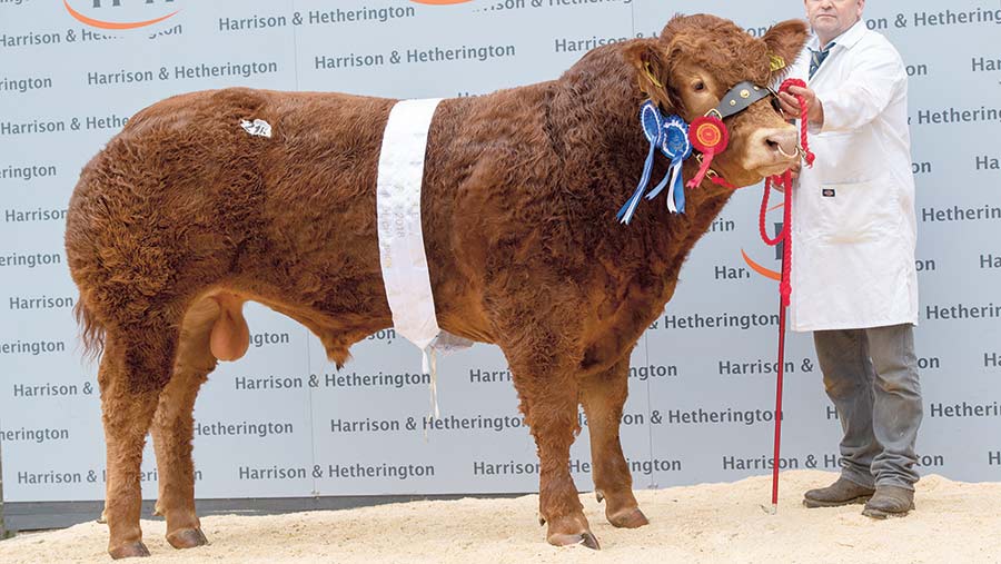 Top-priced Pabo Nero made 17,000gns