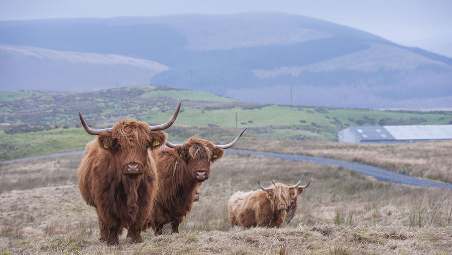Scots and Welsh seek assurances on farm funding - Farmers Weekly