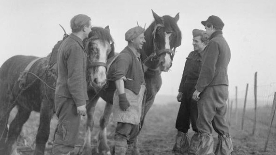 farmer and POWs