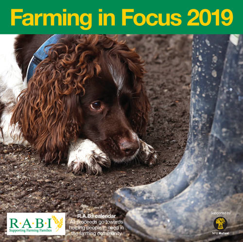 The RABI 2019 calendar