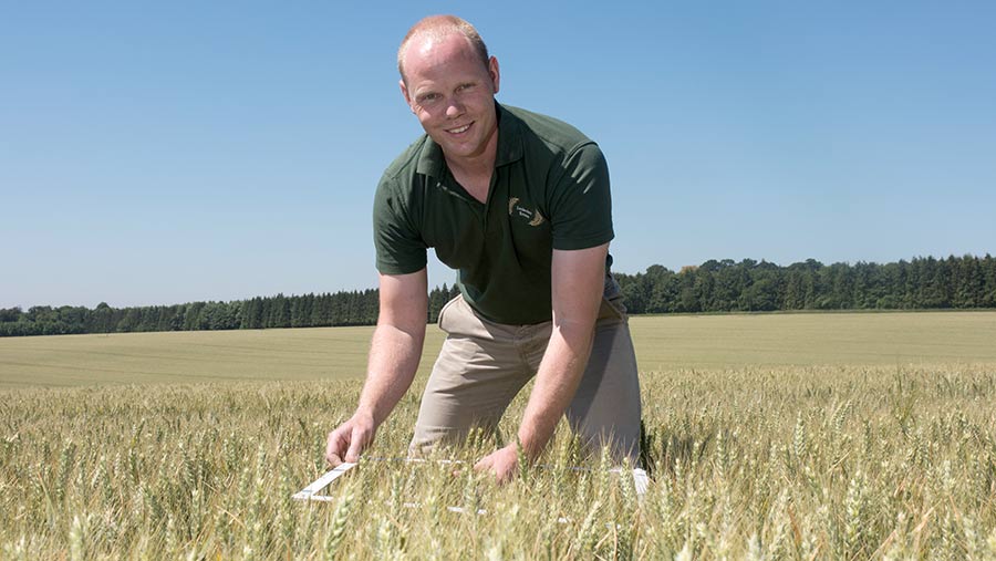 Craig Livingstone in a wheat field