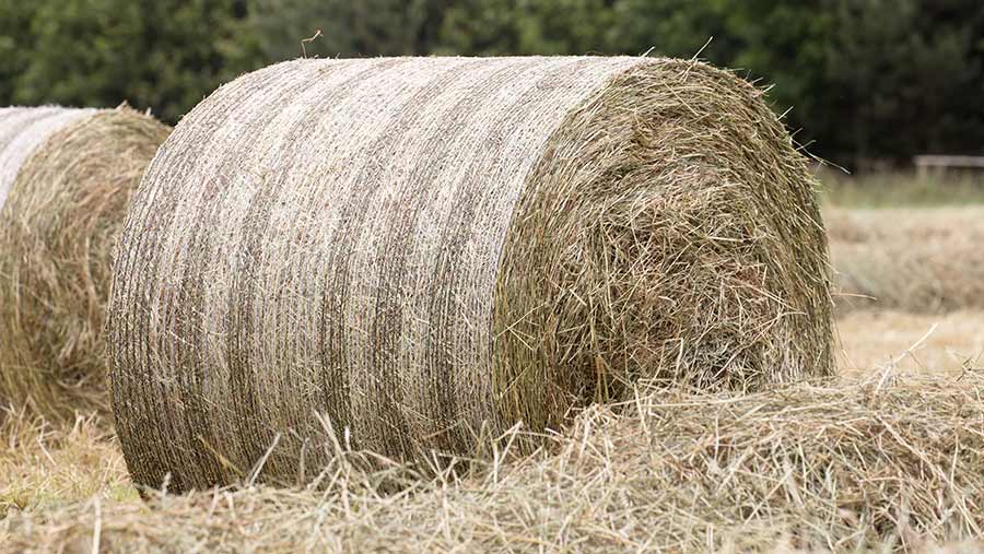 Hay Bales Worth 30 000 Torched On Scottish Farm Farmers Weekly