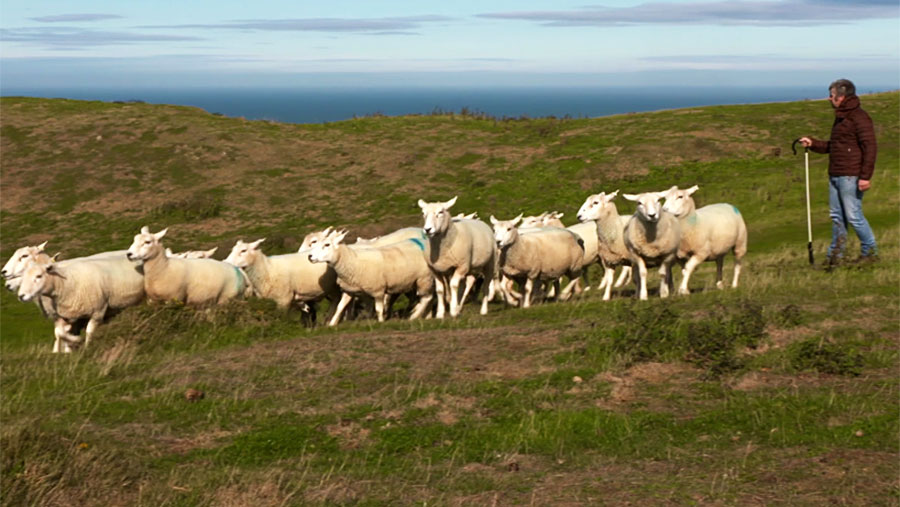 Video: What’s it like to farm £1-a-year National Trust tenant farm ...