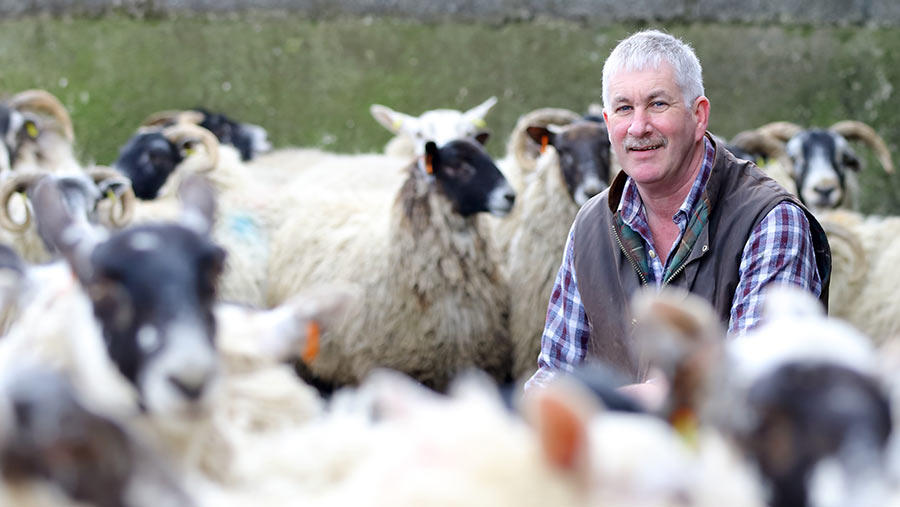 Victor with some sheep