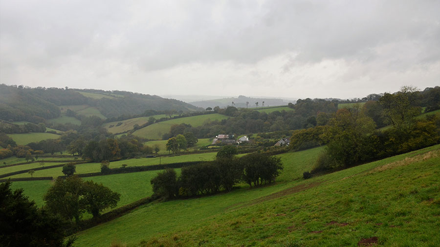 South Haddon Farm general view