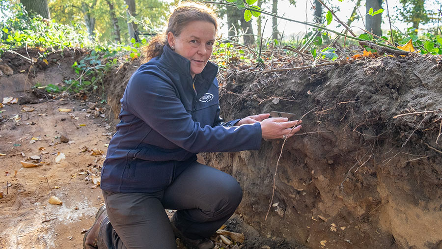 Elizabeth Stockdale examines the soil in a pit about three feet deep
