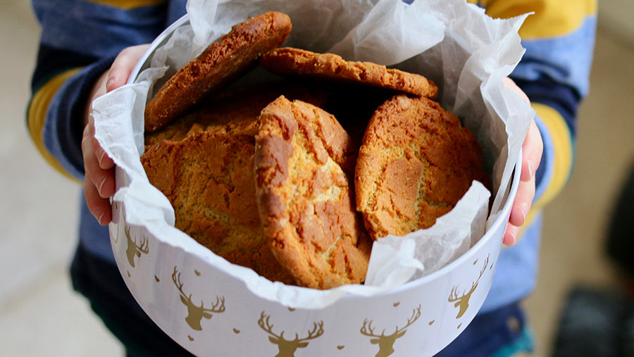 Spiced ginger biscuits © Seasoned Cookery School