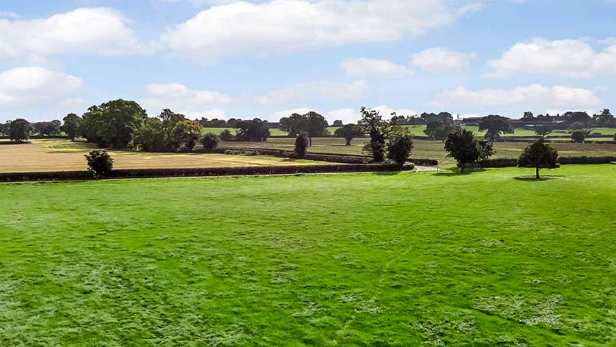 Pasture at Frog Hall Farm