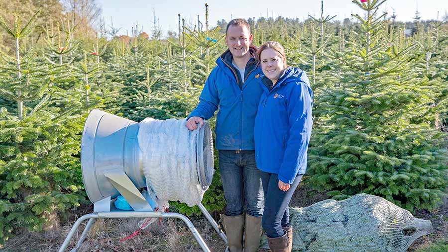 Guy and Emily French in field with Christmas trees