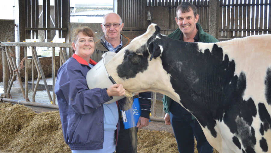 Wendy Symons (left) and Nick Warren (right), who won the overall championship with Tregustick Shottle Tilly, alnogside judge John Dickinson (centre)
