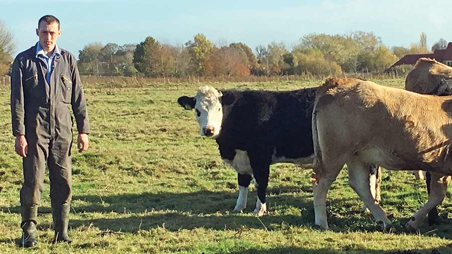 Sam Johnson standing with cattle