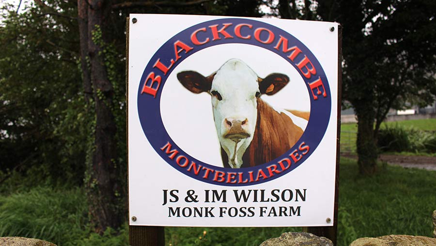 Blackcombe Montbeliardes farm sign