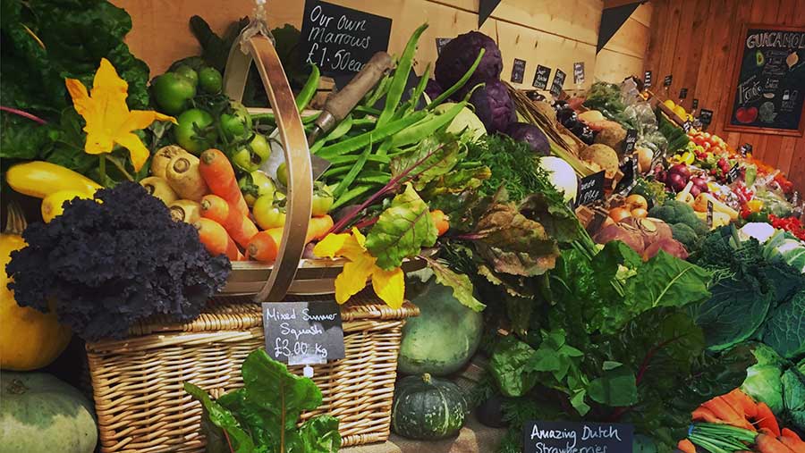 Minskip Farm Shop vegetable stall