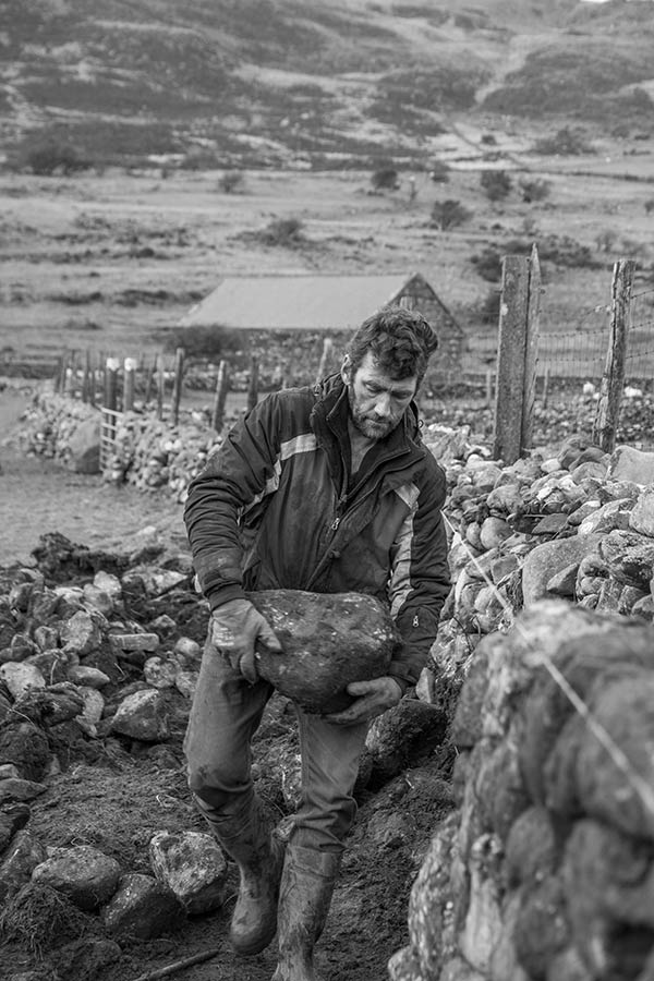 Mari Lloyds dry stone walling