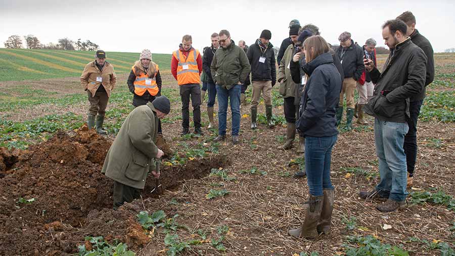 People watch as a crop plot is dug