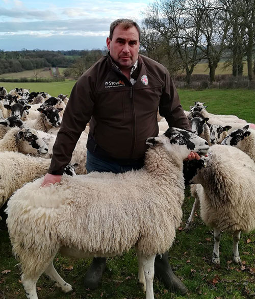 Alan Collett with his sheep