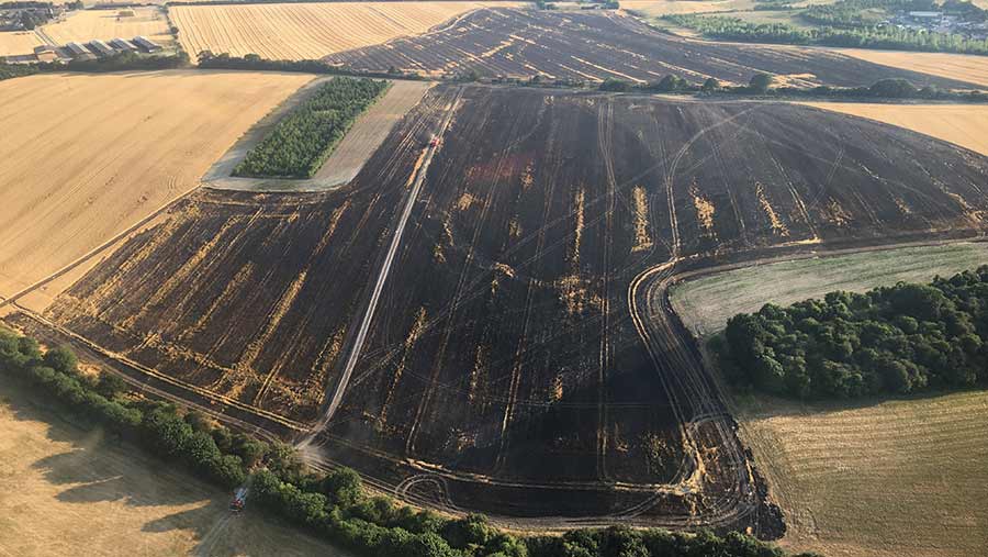 Aerial view of a burnt field