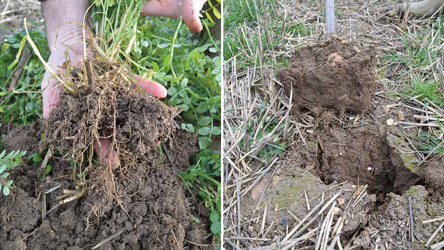 Left, good soil structure under cover crop. Right, poor soil structure after stubble