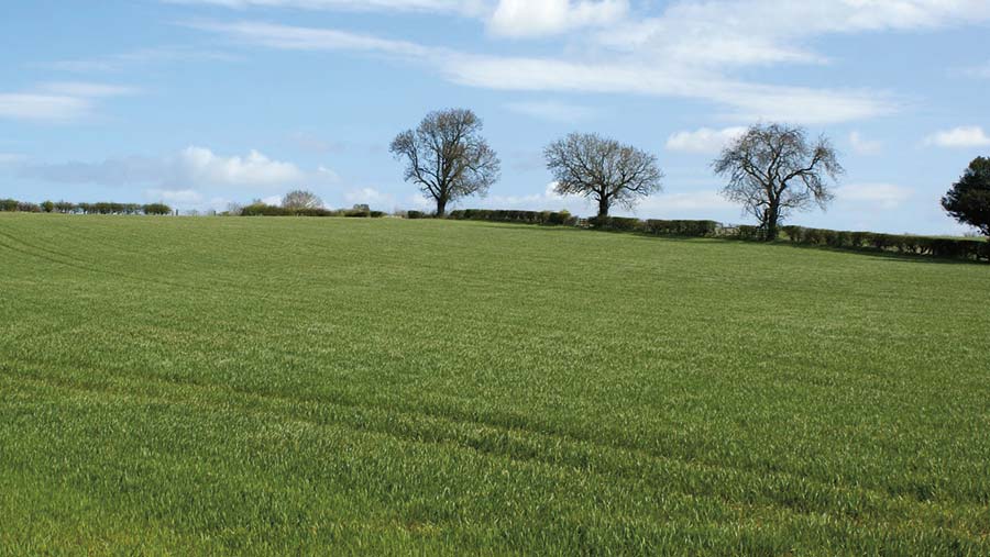 Land at Hilton Moor Farm