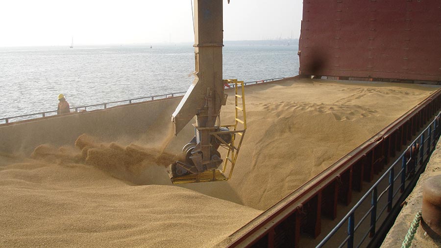 Propino spring malting barley bound for Antwerp is loaded at Southampton Grain Terminal for Robin Appel