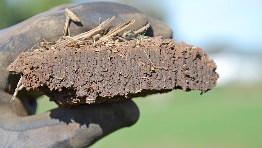 Sharp cut edge on a clump of soil