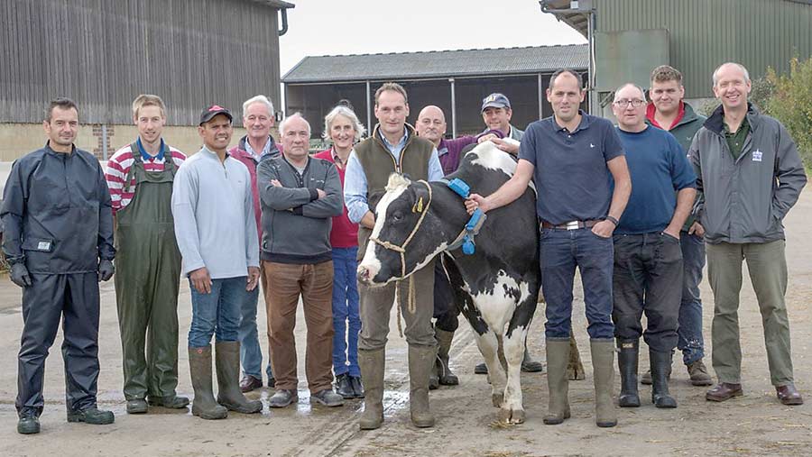 The Stowell Farm dairy team