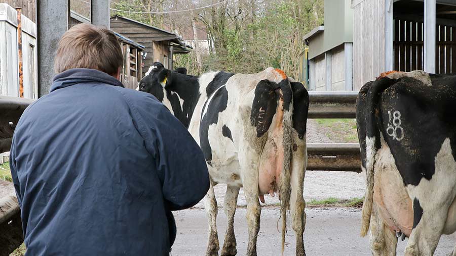 animal breeder apprenticeships